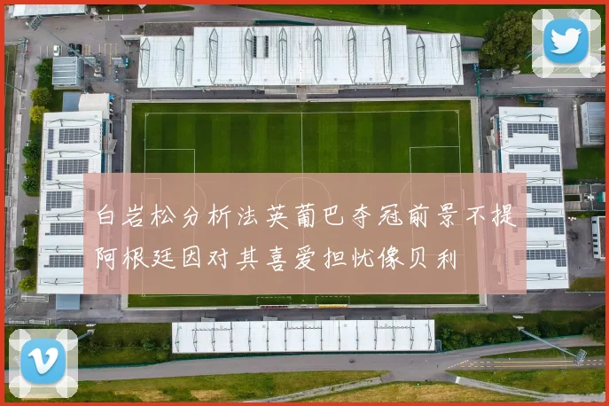 白岩松分析法英葡巴夺冠前景不提阿根廷因对其喜爱担忧像贝利