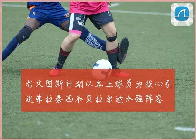 尤文图斯计划以本土球员为核心引进弗拉泰西和贝拉尔迪加强阵容