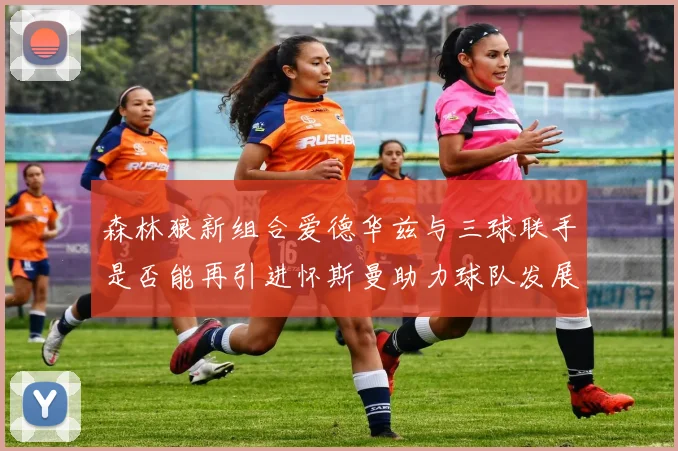 森林狼新组合爱德华兹与三球联手是否能再引进怀斯曼助力球队发展